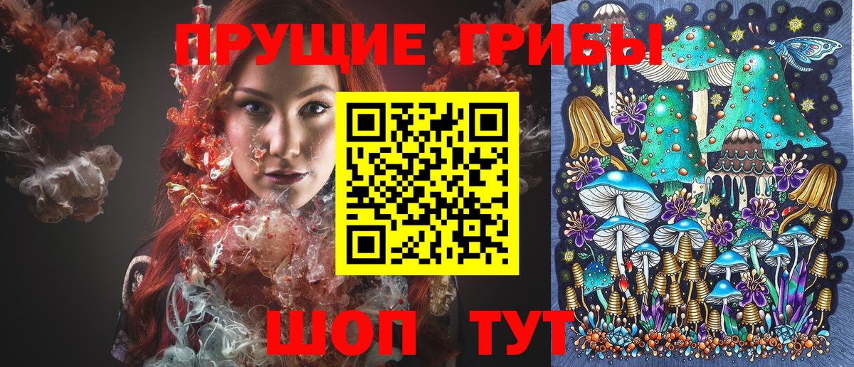 где купить   Вход с VPN  Канаш  Галлюциногенные грибы Cubensis 