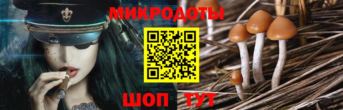 Галлюциногенные грибы GOLDEN TEACHER Канаш